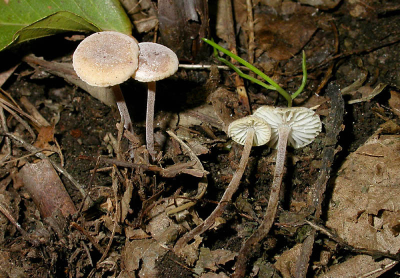 Tanto per cambiare....Quiz!